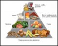 NUTRICIÓN